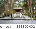 Kitaguchi Hongu Fuji Sengen, Kamiyoshida, Fujiyoshida, Yamanashi, Japan - Nov 18, 2024 : Small Shinto shrine surrounded by tall cedar trees in forest setting 133802402