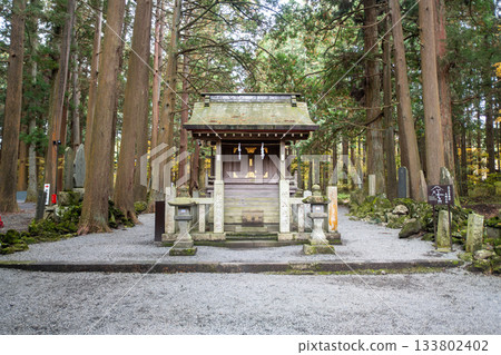 Kitaguchi Hongu Fuji Sengen, Kamiyoshida, Fujiyoshida, Yamanashi, Japan - Nov 18, 2024 : Small Shinto shrine surrounded by tall cedar trees in forest setting Kitaguchi Hongu Fuji Sengen, Kamiyoshida, Fujiyoshida, Yamanashi, Japan - Nov 18, 2024 : Small Shinto shrine surrounded by tall cedar trees in forest setting 133802402