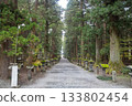Kitaguchi Hongu Fuji Sengen, Kamiyoshida, Fujiyoshida, Yamanashi, Japan, Pathway lined with stone lanterns through tall forest trees in peaceful park 133802454