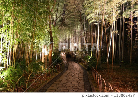 燈光照耀下的竹林小徑 修善寺溫泉 燈光照耀下的竹林小徑 修善寺溫泉 133802457