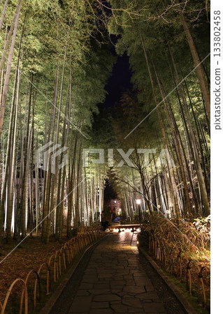 A magically illuminated bamboo forest path Shuzenji Onsen 133802458