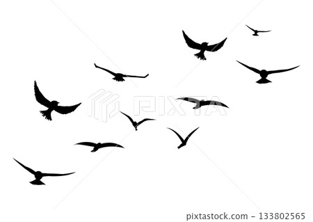 Flying flock of birds silhouette, Simple swallows in flight, crows in the sky. Group of birds border. Flying flock of birds silhouette, Simple swallows in flight, crows in the sky. Group of birds border. 133802565