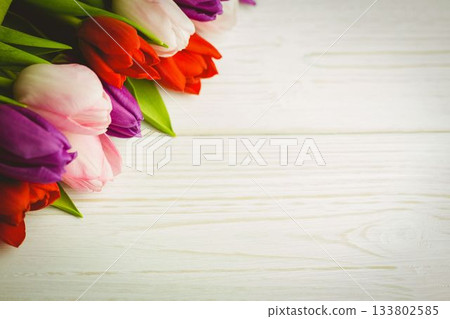 Flat design multicolor tulips are slanting on upper left of whitewashed wood tabletop, copy space Flat design multicolor tulips are slanting on upper left of whitewashed wood tabletop, copy space 133802585