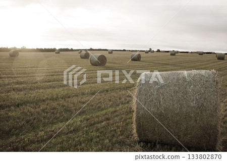 Landscape with bales of straw Landscape with bales of straw 133802870