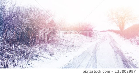 Snow covered road by trees 133802997