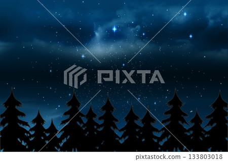 Starry sky over fir trees Starry sky over fir trees 133803018