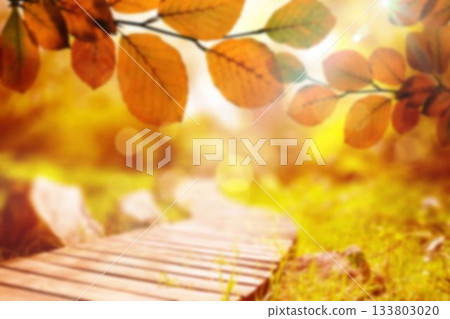 Leaves by boardwalk in autumn Leaves by boardwalk in autumn 133803020
