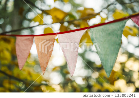 Autumn Celebration Flags on a Sunny October Day 133803241