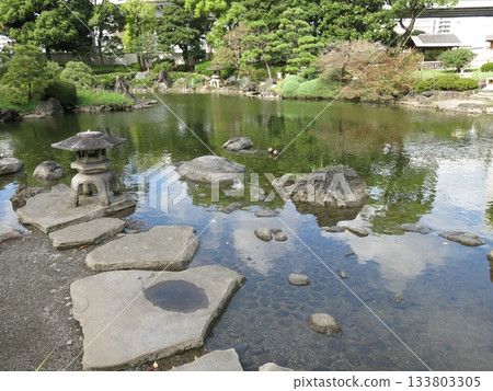 Former Yasuda Garden in Sumida Ward (Shinji Pond, Yukimi Lantern) 133803305