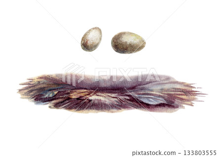 Birds nest and two speckled eggs isolated watercolor illustration.Hand painted earth colors with soft paper texture,nature set for childrens books,spring projects and nurturing themes Birds nest and two speckled eggs isolated watercolor illustration.Hand painted earth colors with soft paper texture,nature set for childrens books,spring projects and nurturing themes 133803555