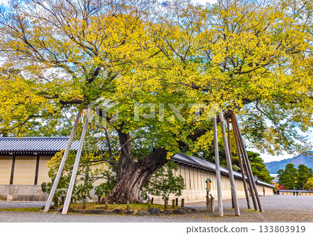 The Shimizutani family's Muku in Kyoto Imperial Palace 133803919