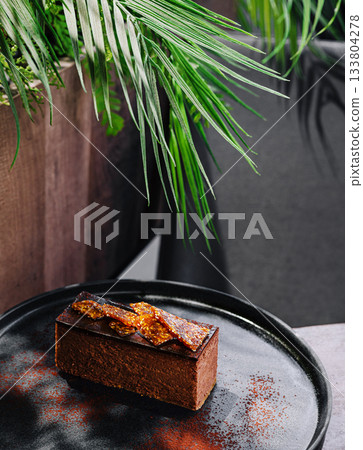Gourmet chocolate dessert served on black plate with green plants in background Gourmet chocolate dessert served on black plate with green plants in background 133804278
