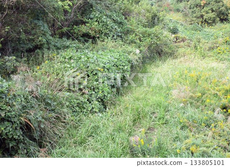 淡路島秋日田野山巒景色 淡路島秋日田野山巒景色 133805101