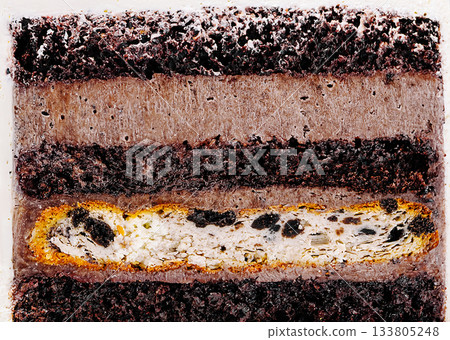 Layers of rich chocolate cake with creamy filling and unique textures Layers of rich chocolate cake with creamy filling and unique textures 133805248