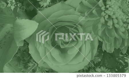 Monochromatic green color with rose flower shapes and texture. Abstract floral background 133805379