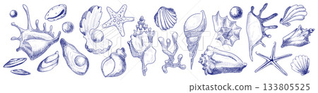Vintage seashell sketch set with ocean icons 133805525
