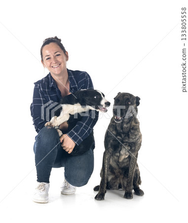 dogs and woman 133805558