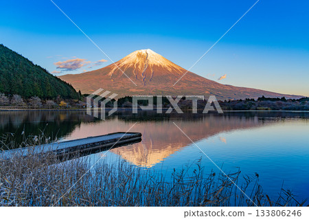 [Shizuoka Prefecture] Mt. Fuji seen from Lake Tanuki at dusk in autumn 133806246