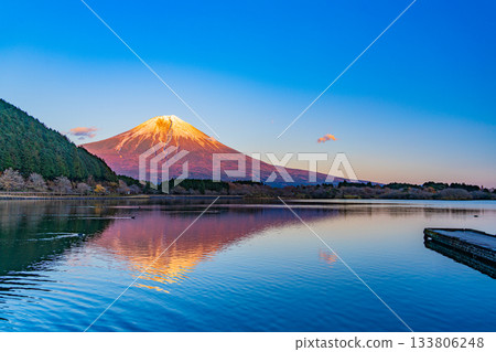 [Shizuoka Prefecture] Mt. Fuji seen from Lake Tanuki at dusk in autumn 133806248