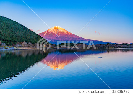 [Shizuoka Prefecture] Mt. Fuji seen from Lake Tanuki at dusk in autumn 133806252