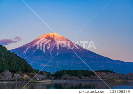 [Shizuoka Prefecture] Mt. Fuji seen from Lake Tanuki at dusk in autumn 133806259