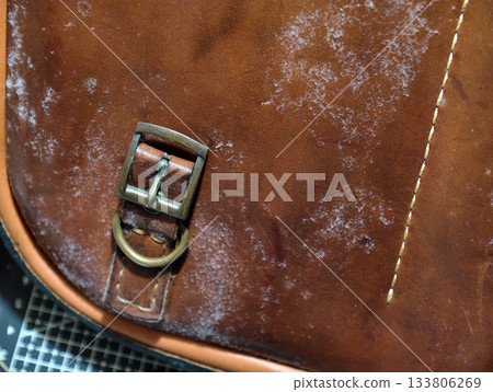 Close-up of mold growth on an old brown leather bag, showing white fungal patches and texture details. Useful for illustrating moisture damage, decay, and leather maintenance issues. 133806269