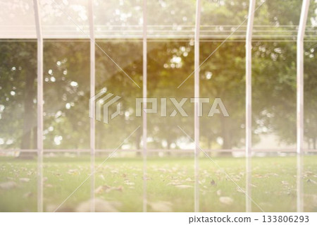 Flat design is showing white metal fence bars with cables framing park lawn with fallen leaves 133806293