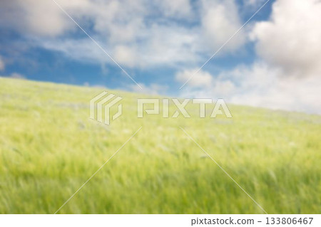 Green grass field against cloudy sky Green grass field against cloudy sky 133806467