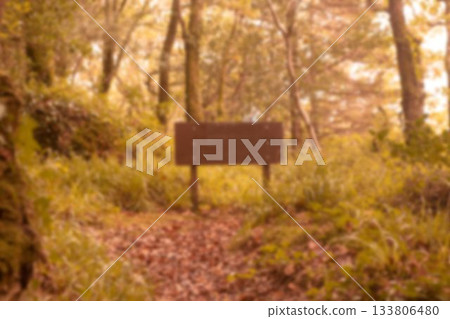 Signboard amidst trees in forest Signboard amidst trees in forest 133806480
