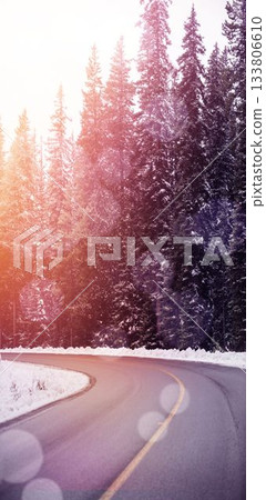 Road through snowy forest Road through snowy forest 133806610
