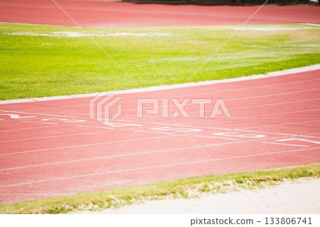 Tracks on field on a sunny day 133806741