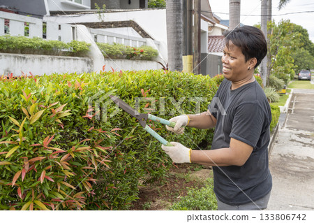 Indonesian southeast asian gardener man wearing white gloves pruning a plant in the backyard. Gardening work 133806742
