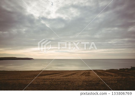 Harvested field furrows are stretching toward headland above sea under grey clouds in flat design Harvested field furrows are stretching toward headland above sea under grey clouds in flat design 133806769