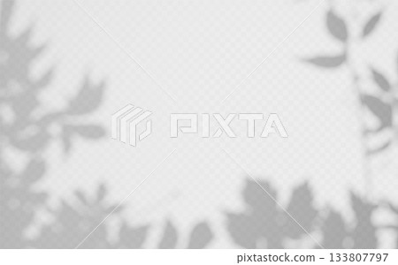 Autumn Shadow overlay from ivy vine on a transparent background. 133807797