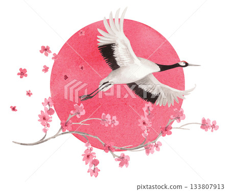 Flyind japanese red crown crane flying on the sun and sakura flowers on background. Watercolor handmade illustration. For fabric, wallpaper, greeting cards, design, decoration and illustration. 133807913