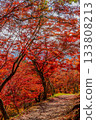 Autumn foliage tunnel and mountain path 133808213