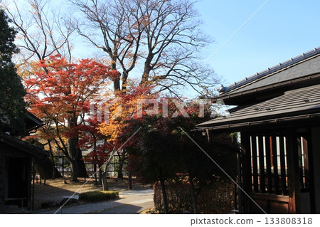 Autumn scenery at the former Horikiri residence in Iizaka Onsen, Fukushima Prefecture Autumn scenery at the former Horikiri residence in Iizaka Onsen, Fukushima Prefecture 133808318
