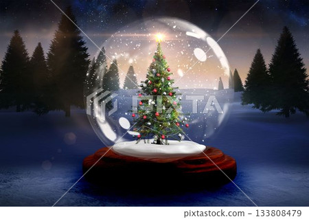 Christmas tree in snow globe Christmas tree in snow globe 133808479