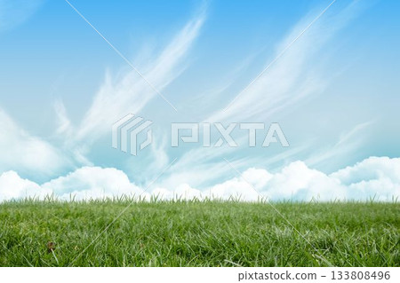 Grass field is stretching across flat design meadow, with cumulus and cirrus clouds in blue sky Grass field is stretching across flat design meadow, with cumulus and cirrus clouds in blue sky 133808496