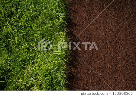 Half between green and brown Half between green and brown 133808563