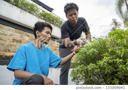 Two Indonesian southeast asian gardeners men using pruning shears to trim the bush in the backyard. Gardening work Two Indonesian southeast asian gardeners men using pruning shears to trim the bush in the backyard. Gardening work 133809041