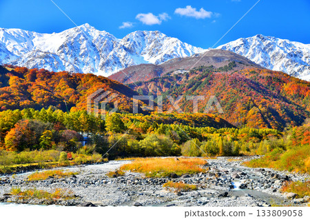 白馬橋 / 從松川眺望白馬三山（長野縣白馬村）[2025年11月] 133809058