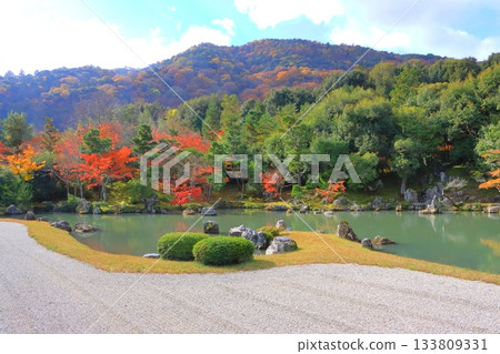 Tenryuji Temple in autumn (Sogenchi Pond, Kyoto City) 133809331