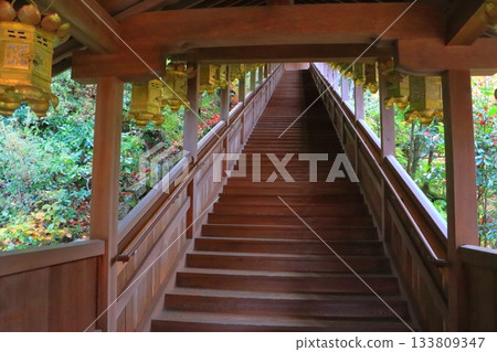 Komyo-ji Temple in autumn (Nagaokakyo City) 133809347