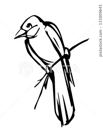 Vector drawing. Bird on white sky backdrop. Vector drawing. Bird on white sky backdrop. 133809643