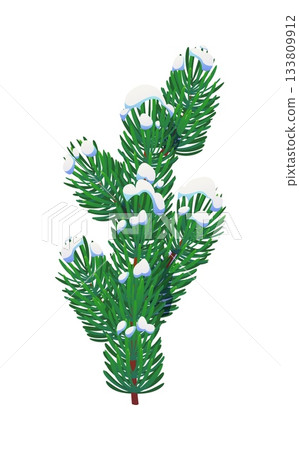 Fir or pine tree branch in snow for Christmas winter holiday, cartoon vector. Fir, pine or spruce tree snowy branch in icy frost for Xmas wreath decoration, New Year greeting and Christmas garland Fir or pine tree branch in snow for Christmas winter holiday, cartoon vector. Fir, pine or spruce tree snowy branch in icy frost for Xmas wreath decoration, New Year greeting and Christmas garland 133809912