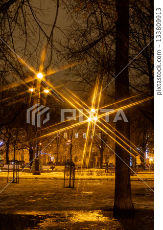 public park at night, with street lights on a tree. light is yellow, but the tree is bare.  133809913