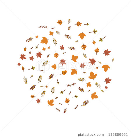 autumn leaves and twigs. autumn leaves and twigs. 133809931