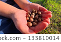 Child with acorn 133810014
