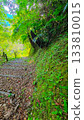 In the mysterious forest 133810015